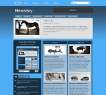 Премиум шаблон WordPress от NattyWP: Newsday
