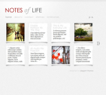 Премиум тема WordPress от ElegantThemes: DailyNotes