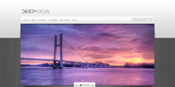 Premium шаблон WordPress от ElegantThemes: DeepFocus 1.8