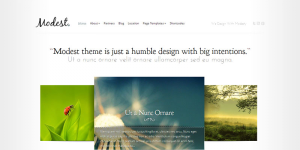Премиум тема WordPress от ElegantThemes: Modest