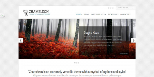 Премиум тема WordPress от ElegantThemes: Chameleon