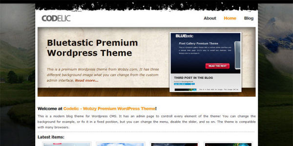 Премиум тема WordPress от Wobzy: Codelic