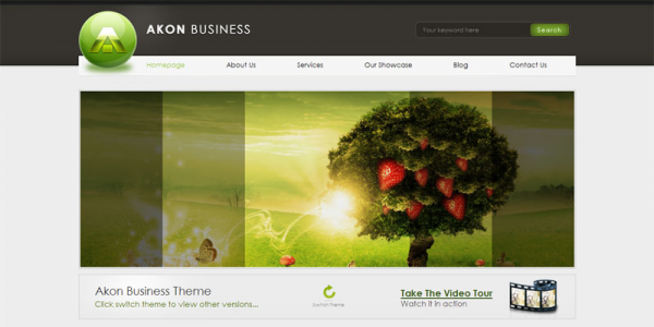 WordPress тема от ThemeForest: Akon Business