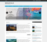 Медицинская тема для wordpress: Molecula